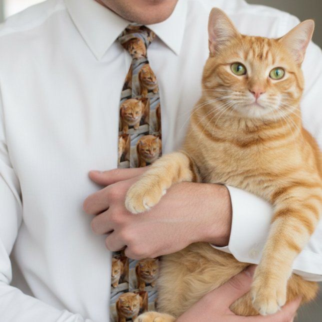 Corbata Foto de perro de gato mascota personalizada foto d (Subido por el creador)