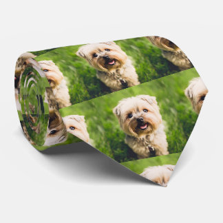 Corbata Foto de perro Mascota personalizada
