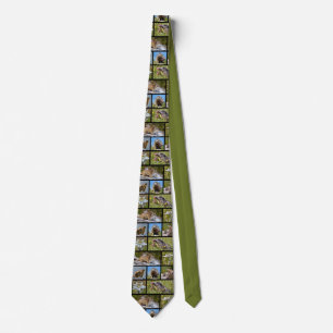 Corbata Fotos mosaicos marmotas alpinas y edelweiss Neck T