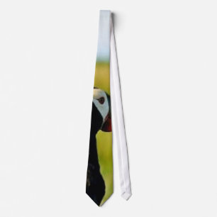 Corbata Frailecillo copetudo a disposición