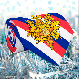 Corbata France Ties, negocio de la bandera francesa de mod