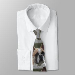 Corbata Französische Bulldogge