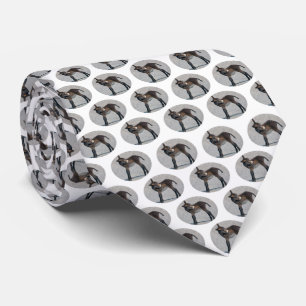 Corbata Frenesí de Burros (Elige Color)