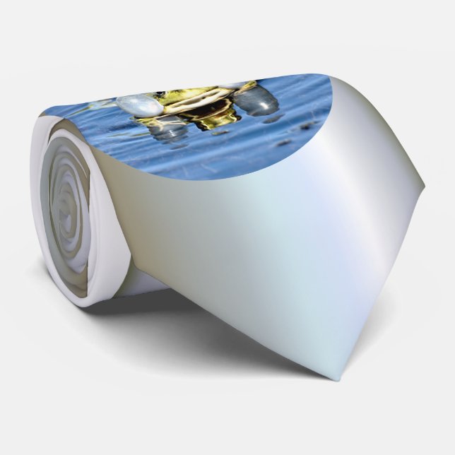 Corbata Frog in Water with Air Sacs (Enrollado)