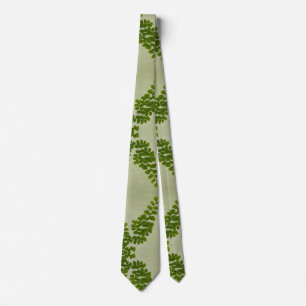 Corbata Fronda virginal del helecho del pelo