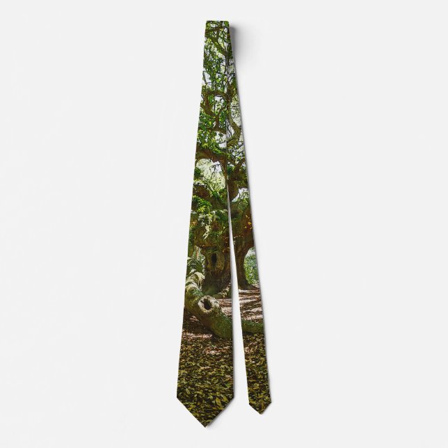 Corbata Fuerte y Audaz (Anverso)