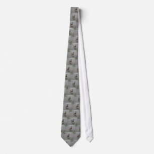 Corbata Funny Waddling Duck Tie