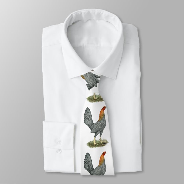 Corbata Gallina de Combate Azul Rojo (Atado)