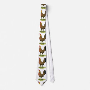 Corbata Gallina de combate: cresta de guisante