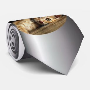 Corbata Gatito doméstico en reposo
