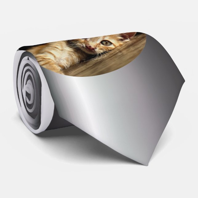 Corbata Gatito doméstico en reposo (Enrollado)