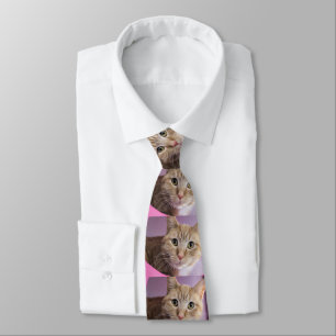 Corbata Gato