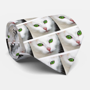 Corbata Gato blanco de ojos verdes