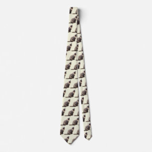 Corbata Gato de Tabby en tonos marrones