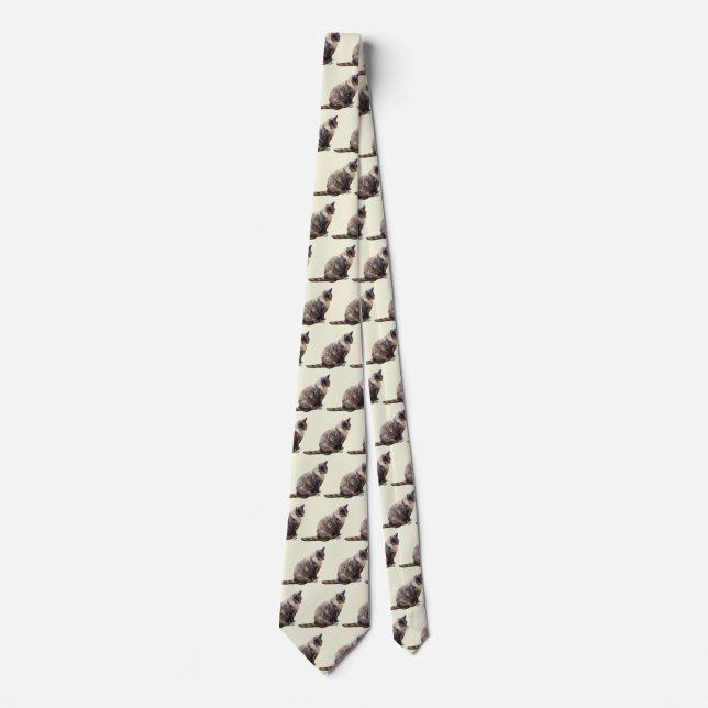 Corbata Gato de Tabby en tonos marrones (Anverso)