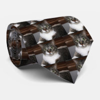 Gato de Tabby que le mira