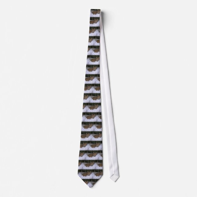 Corbata Gato perezoso (Anverso)