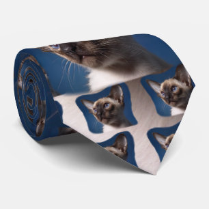 Corbata Gato siamés con los ojos azules