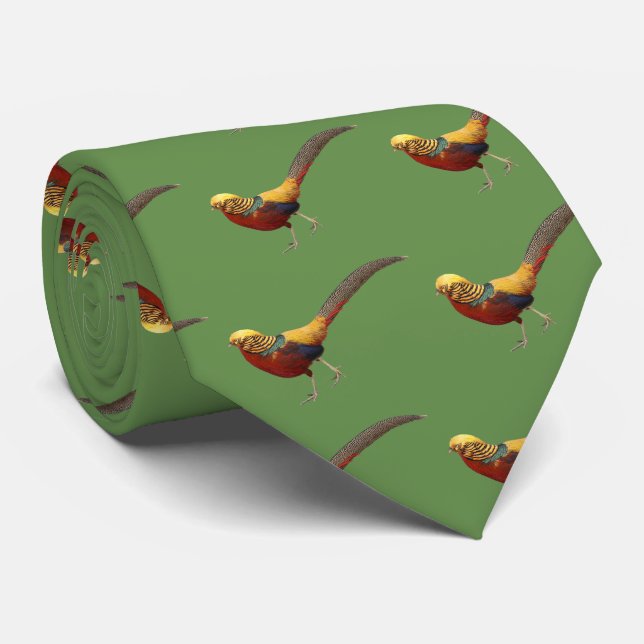 Corbata Golden Pheasant (Enrollado)