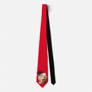 Corbata Golden Retriever wearing a Santa Claus Hat