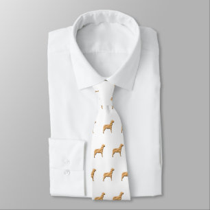 Corbata Gracias Masculino Apreciación Veterinaria Mascota