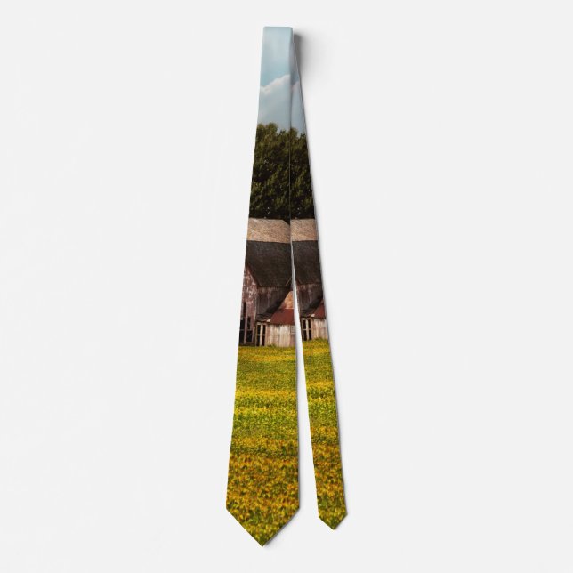 Corbata Granja - Ohio - Sueños rotos (Anverso)