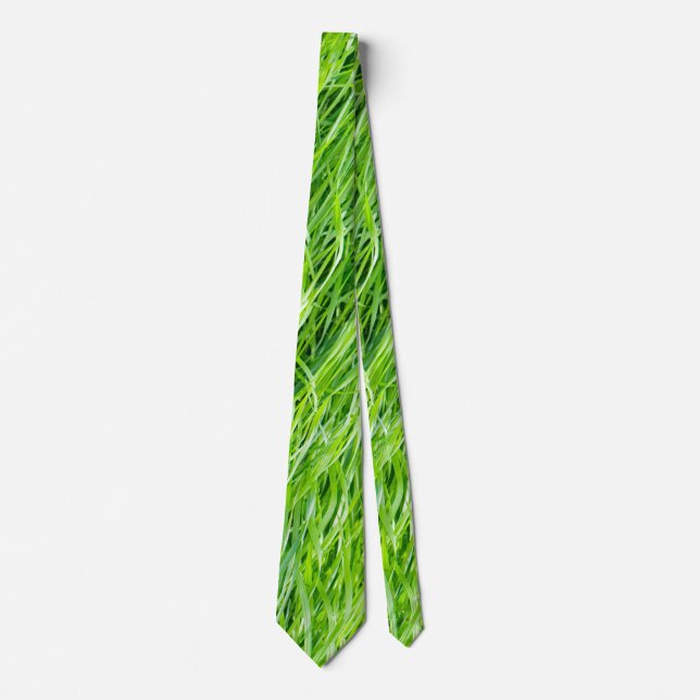 Corbata Grasa (Anverso)