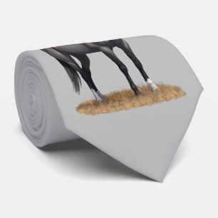 Corbata Gray Grulla Quarter