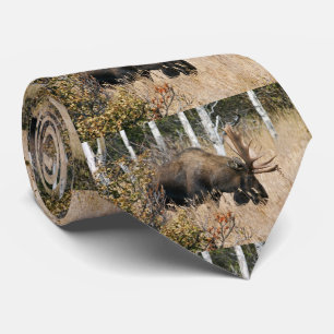Corbata Grazing Bull Moose