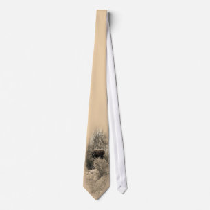 Corbata Grisáceo