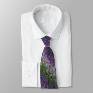 Corbata Grungy Groovy Funky Trippy Genderqueer Pride