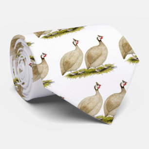 Corbata Guinea pulimentan las aves de Dundotte