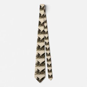 Corbata Halcón de gran pie de los pájaros de América de Au