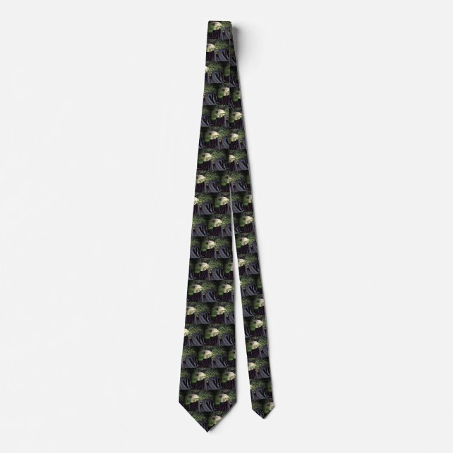 Corbata Halloween Wizard Goat (Anverso)