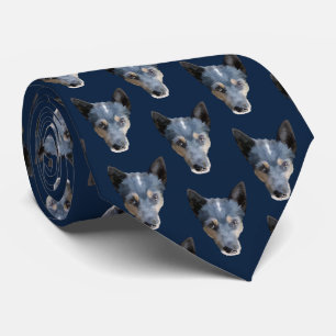 Corbata Heeler azul/perro australiano del ganado