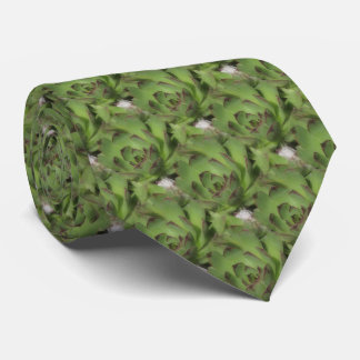 Corbata Hens Y Chicles Suculen El Patrón De La Naturaleza