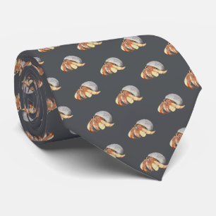 Corbata Hermit Crab