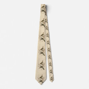 Corbata Hermit Thrush de los pájaros de América de Audubon