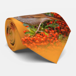 Corbata Hermit Thrush Songbird en el Fuego de Escarlata