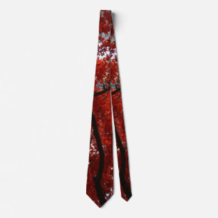 Corbata Hermosa caída roja deja en una