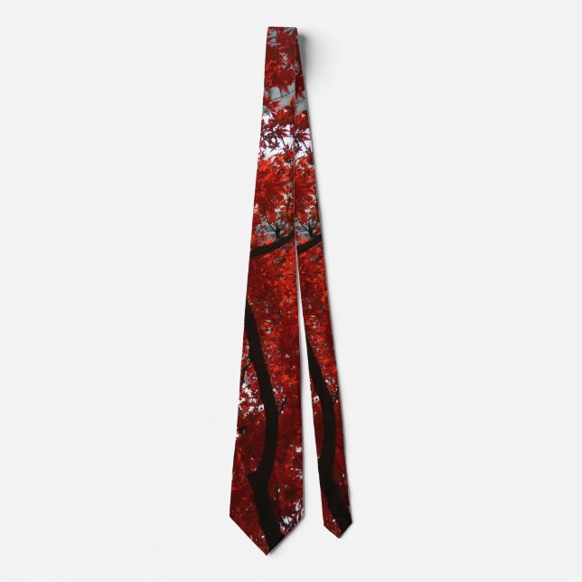 Corbata Hermosa caída roja deja en una (Anverso)