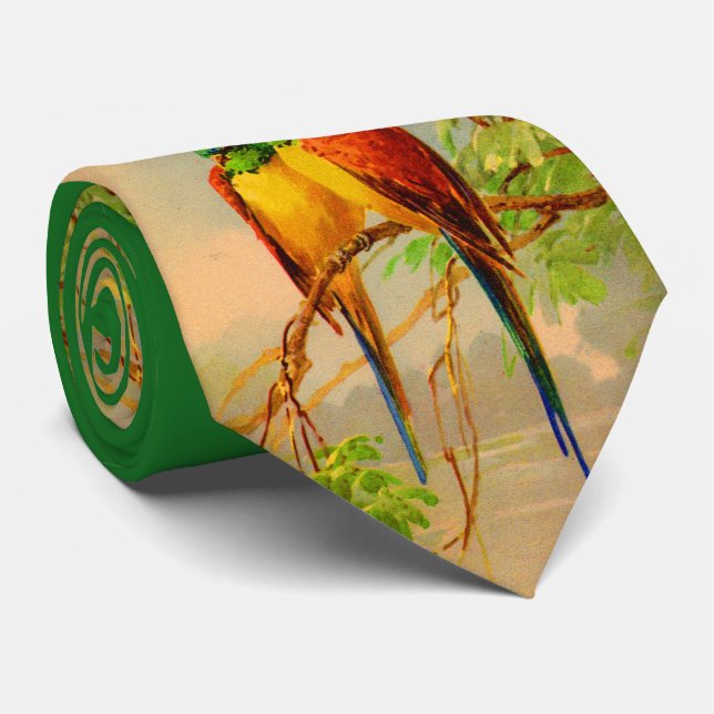 Corbata hermosa estampa de pájaros (Enrollado)