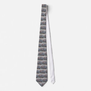 Corbata HMS Invisible