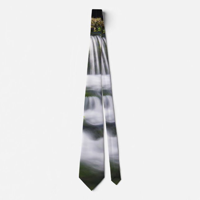 Corbata Hodgson Spring Falls Necesario (Anverso)
