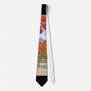 Corbata Hojas de otoño de la caída