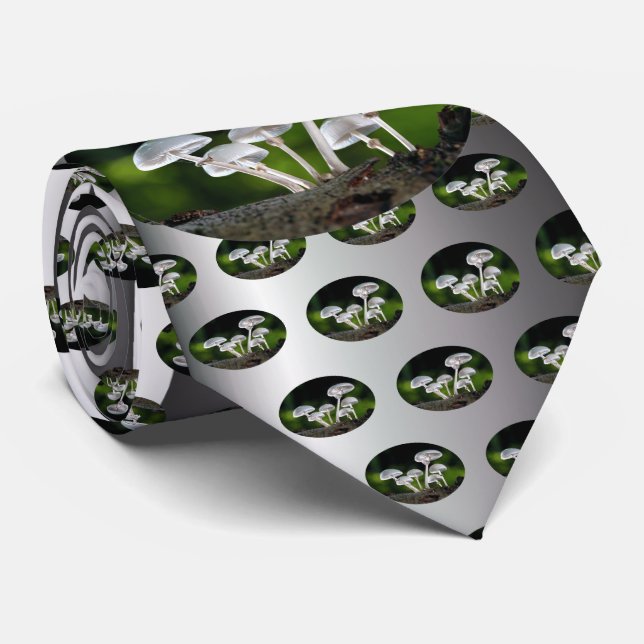 Corbata Hongos del Ostión Blanco Otumn (Enrollado)