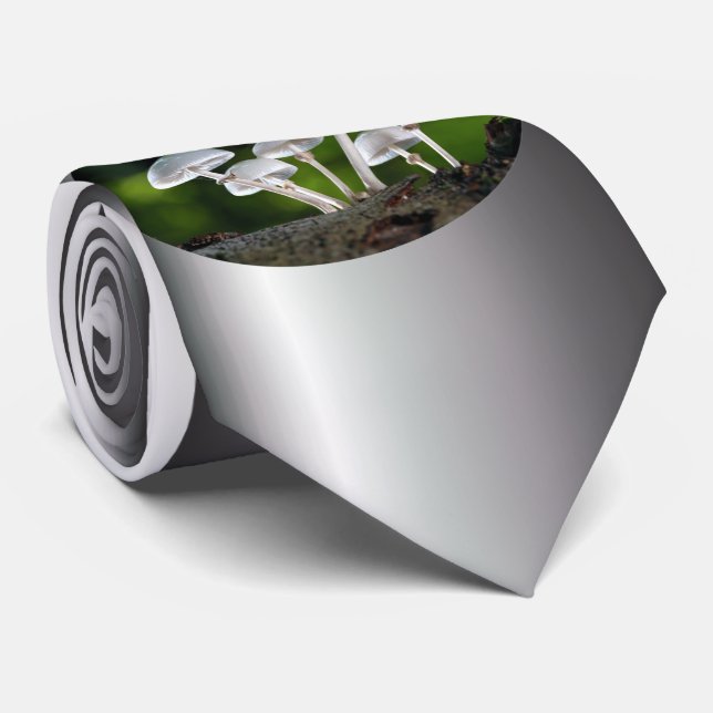 Corbata Hongos del Ostión Blanco Otumn (Enrollado)