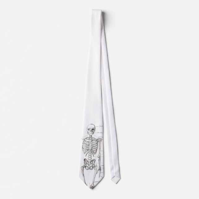 Corbata Huesos… (Anverso)