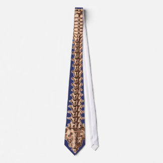 Corbata humana del diseño de la espina dorsal para