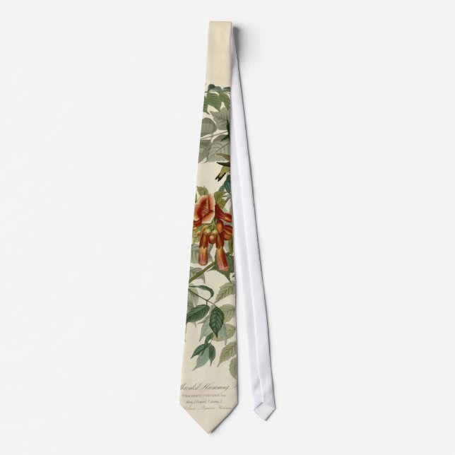 Corbata Hummingbird Ruby Throated Audubon (Anverso)